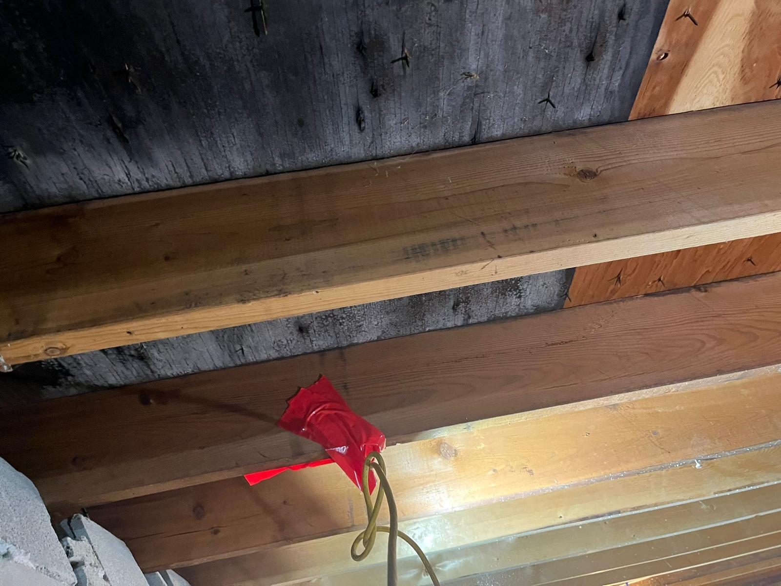 Mold growth on structural wood before remediation